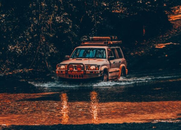 4x4 in the earthly paradise - Image 2