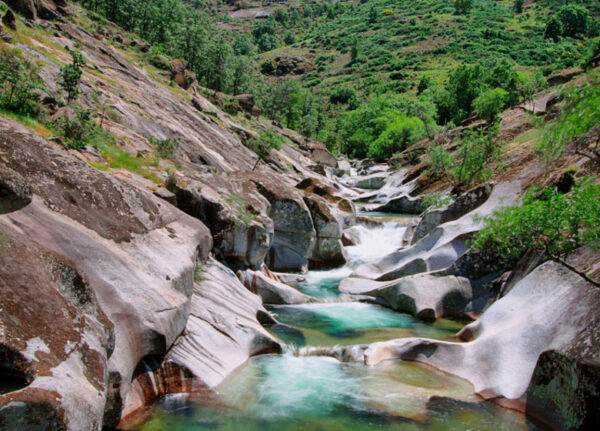 4x4 in the earthly paradise - Image 3