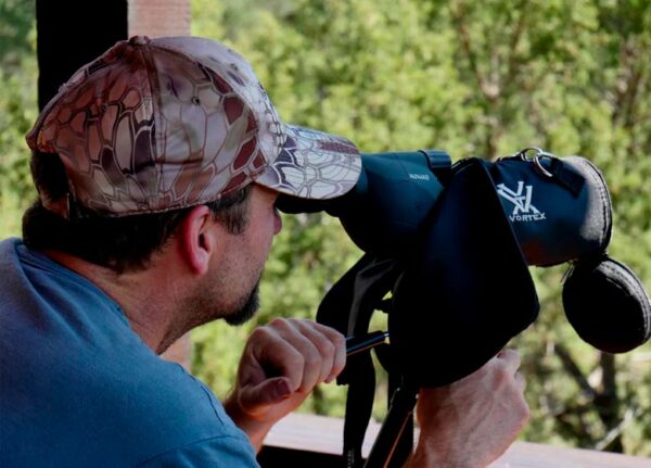Flying Nature. Birdwatching in La Vera - Image 2