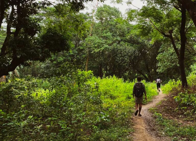 Senderismo idiomático por el bosque