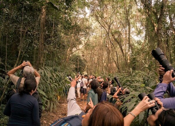 Flying Nature. Birdwatching in La Vera - Image 3