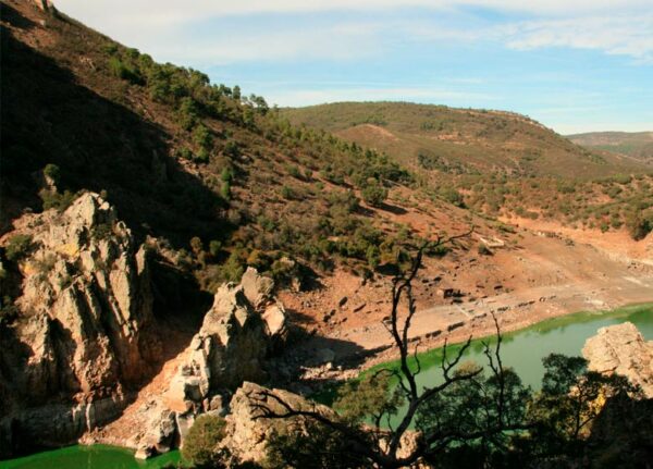 Kayaking in the national park of Monfragüe on peaceful, clean and calm waters. - Image 4
