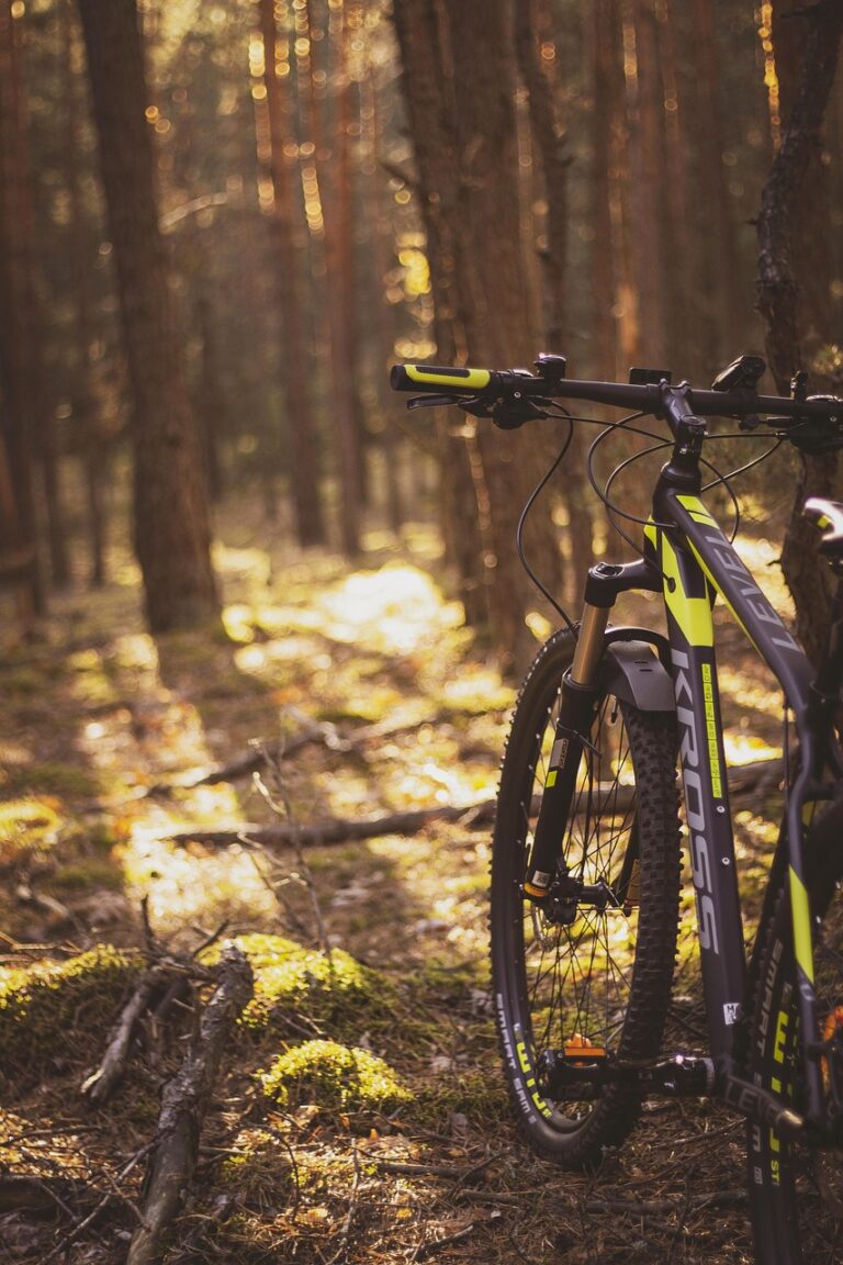 Bicicleta de montaña