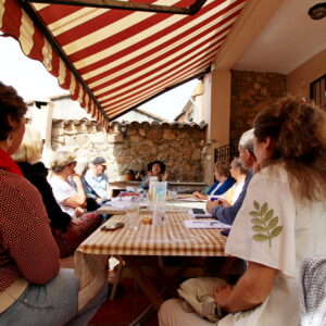 Outdoor meeting under a striped awning.